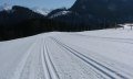 Oberdorfer Loipe - Langlaufen in Obermaiselstein © Tourismus Hörnerdörfer, MA