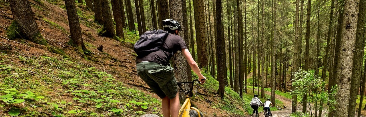 Ofterschwang - Downhill-Roller © Tourismus Hoernerdoerfer GmbH_@Pro Vision Media