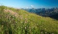 360Grad Bergblick auf dem Riedberger Horn © Tourismus Hörnerdörfer, K.P. Kappest