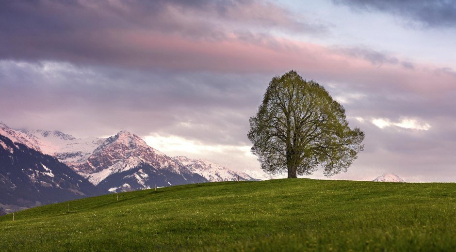Wittelsbacher Höhe © Tourismus Hörnerdörfer, E. Karaman
