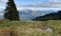 Ausblick auf der Hörner-Panoramatour © Tourismus Hörnerdörfer GmbH