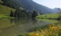Radtour ab Balderschwang: Lecknertal - Scheidewang - Höllritzer Alpe