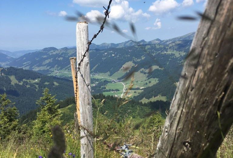 Blick vom Riedbergerhorn nach Balderschwang