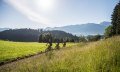 Radeln im Gunzesrieder Tal © Tourismus Hörnerdörfer, F. Kjer