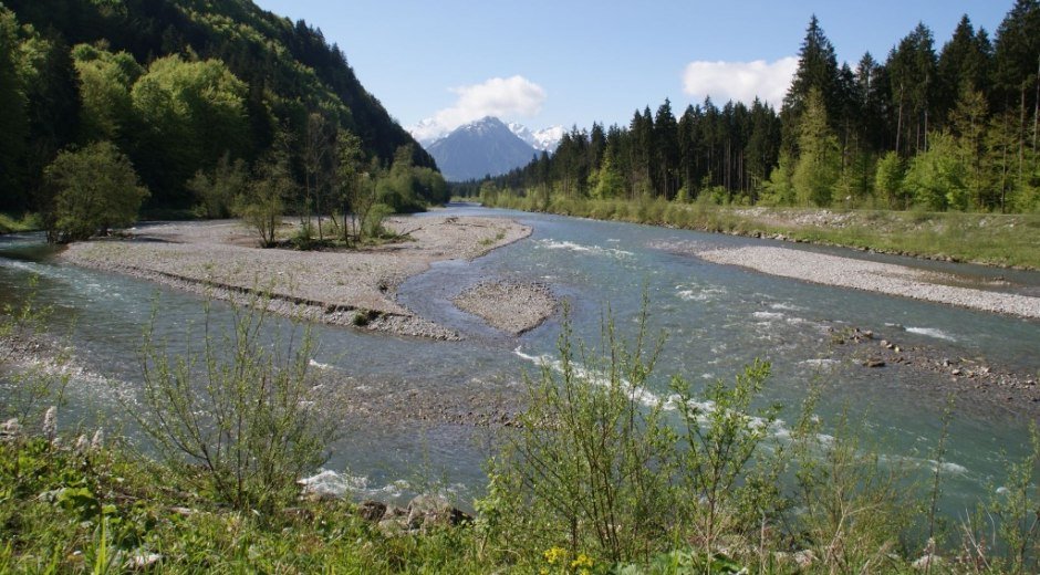 Die Iller bei Fischen im Allgäu, am südlichen Ende des Auwaldsees © Tourismus Hörnerdörfer