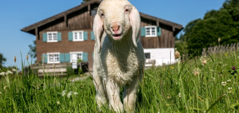 Ostern im Bergbauernmuseum © Allgäuer Bergbauernmuseum