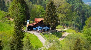 Wanderung auf den Spuren der Alpwirtschaft © Nico Bogenreuther, Oberstaufen Tourismus