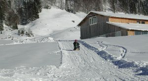Rodeln Obere Socher Alpe in Balderschwang © Tourismus Hörnerdörfer, Silvia Heisler