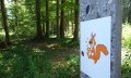 Kindertore im Eichhörnchenwald © Tourismus Hörnerdörfer GmbH