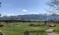 Blick auf den Golfplatz © Tourismus Hörnerdörfer GmbH