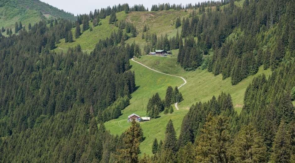 Alpe Hinteregg und Berghaus Schwaben