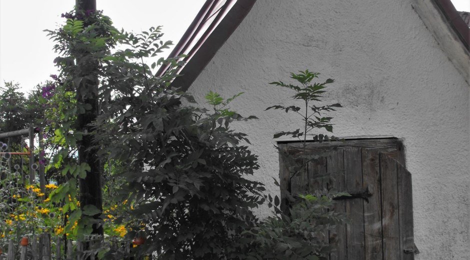 Wegkapelle Beim Bild © Tourismus Hörnerdörfer GmbH