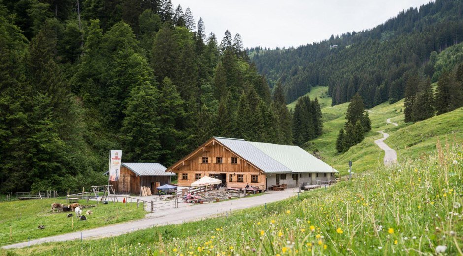 Die Alpe Zunkleiten im Bolgental bei Bolsterlang © Tourismus Hörnerdörfer