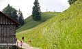 Rundwanderweg um das Ofterschwanger Horn © Tourismus Hörnerdörfer, ProVisionMedia
