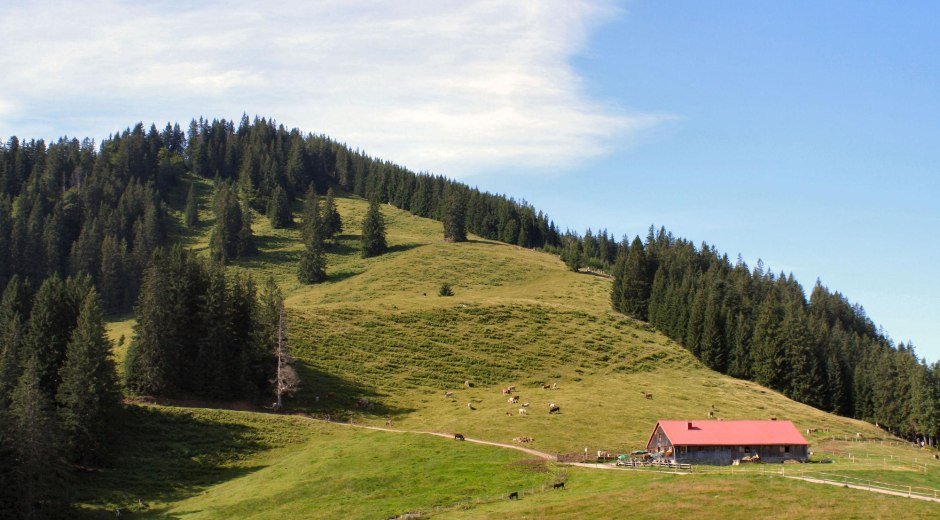 Fahnengehren Alpe in Ofterschwang © Tourismus Hörnerdörfer