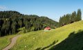 Die Freiburger Alpe im Lochbachtal bei Obermaisels © Tourismus Hörnerdörfer, F. Kjer