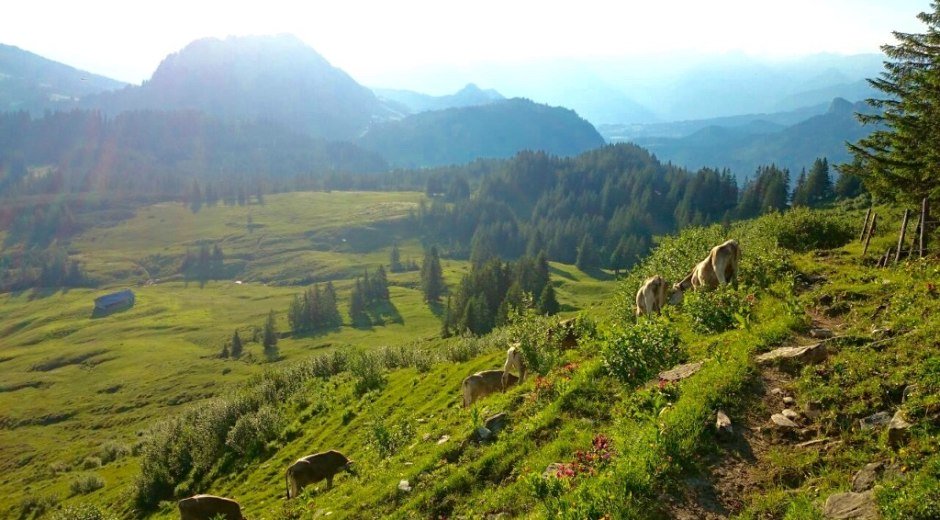 Herrliche Aussicht auf die idyllische Bergwelt beim Piesenkopf © Tourismus Hörnerdörfer, M. Schmid