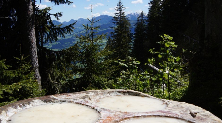 Baumharz-Schalen © S. Kuhn