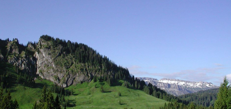 Blick auf Besler und Ifen bei Besler-Rundwander... © Tourismus Hörnerdörfer, Balderschwang