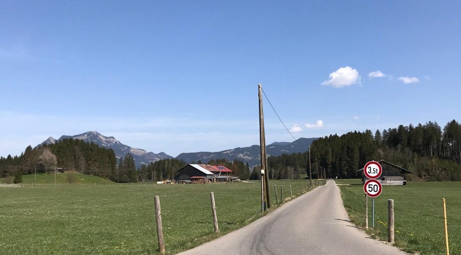 Sie folgen ein kurzes Stück der Teerstraße