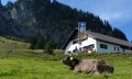 Alpe Schönberg © Tourismus Hörnerdörfer, Eberle T.