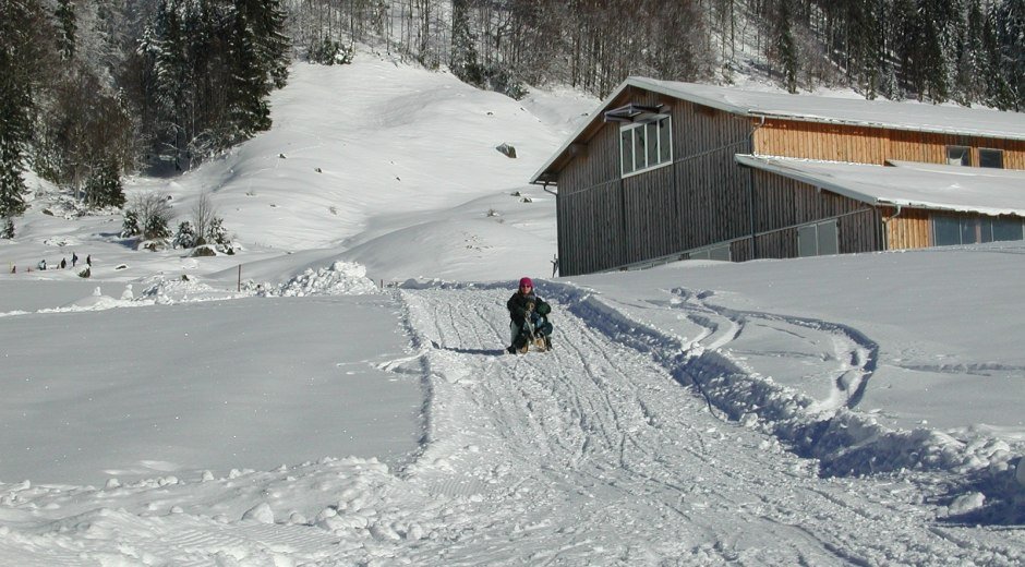 Rodeln Obere Socher Alpe in Balderschwang © Tourismus Hörnerdörfer, Silvia Heisler