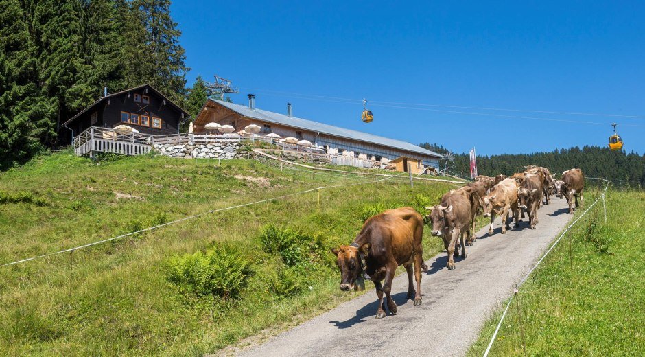 Sennalpe Ornach - Bolsterlang © Tourismus Hörnerdörfer