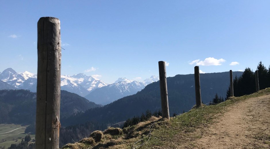 Blick auf das "Allgäuer Dreigestirn" - Trettach, Mädelegabel und Hochfrottspitze