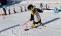 Maskottchen © Tourismus Hörnerdörfer, Skischule Ofterschwang
