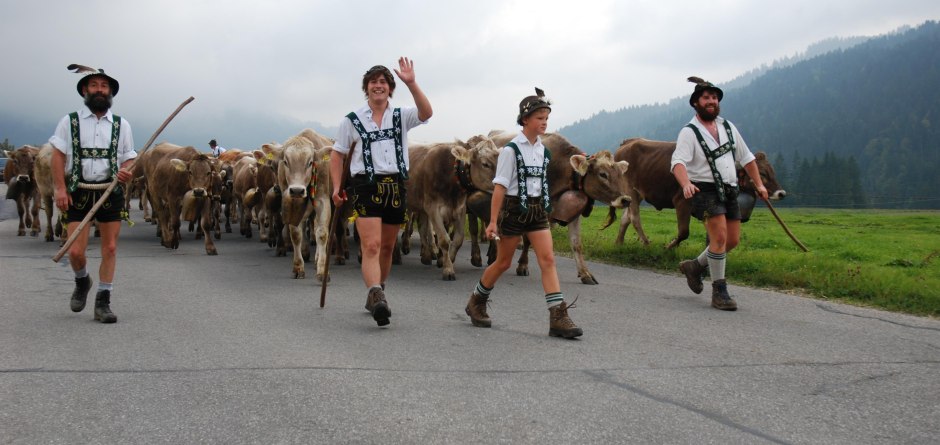 Hirten beim Einzug - Viehscheid in Balderschwang © Tourismus Hörnerdörfer