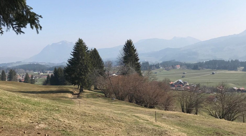 Wiesenweg nach Sonderdorf