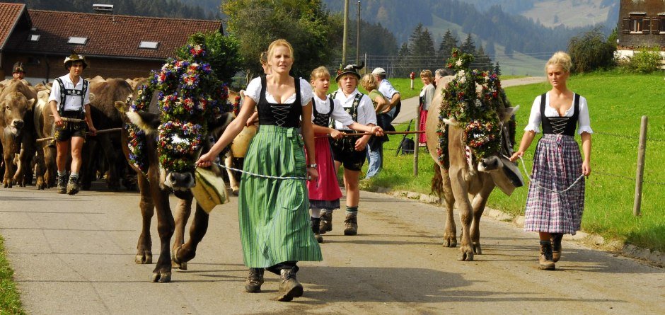 Viehscheid Gunzesried © Tourismus Hörnerdörfer, S. Bruckmeier