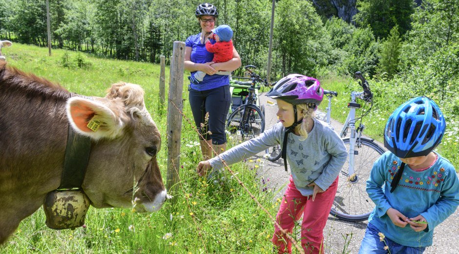 Kinder und Eltern mit Kühen am Weidezaun nach einer Radtour. © Alexander Rochau
