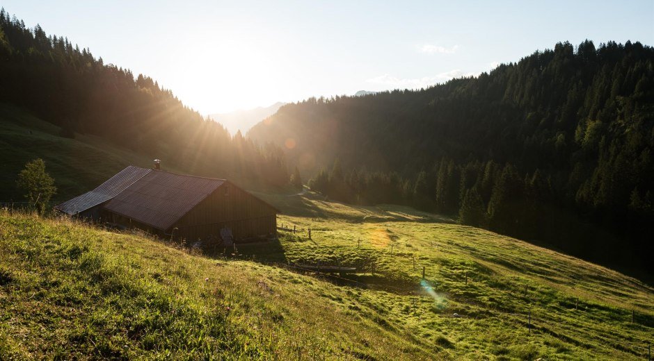 Blick auf die Schwabenalpe © Tourismus Hörnerdörfer, F. Kjer