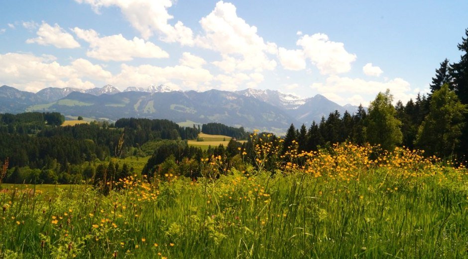 Sagenhafter Weitblick vom Ofterschwanger Horn © Tourismus Hörnerdörfer