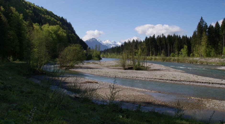 Auwaldsee mit dem Kinderwagen - Spaziergang ab Fischen
