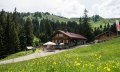 Alpe Bolgen © Tourismus Hörnerdörfer, F. Kjer