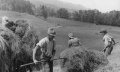 "Heuben" - Heuernte in Bolsterlang Anfang 1940 © Ch. Feldmann