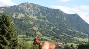 den Urlaub genießen © _changed => 17.07.2020 um 16:04 Uhr