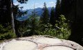 Baumharz-Schalen