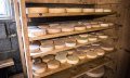 Lagernder Weichkäse im Käsekeller © Tourismus Hörnerdörfer, F. Kjer