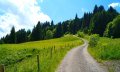 Weg oberhalb Hüttenberg © Tourismus Hörnerdörfer, M. Redecker