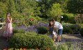Lavendel, Salbei, Engelwurz und vieles mehr © Tourismus Hörnerdörfer, G. Eichholzer