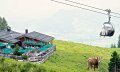 Weltcup-Express und Weltcup-Hütte in Ofterschwang © Tourismus Hörnerdörfer, ProVisionMedia