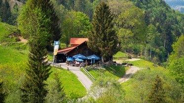Wanderung auf den Spuren der Alpwirtschaft © Nico Bogenreuther, Oberstaufen Tourismus
