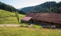 Blick auf die Alpe im Lochbachtal © Tourismus Hörnerdörfer, F. Kjer