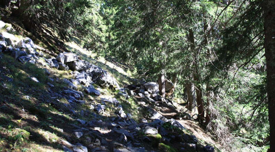 Weg zum Besler