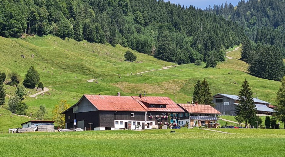 Alpe Berg idyllisch gelegen in Balderschwang © Familie Steurer