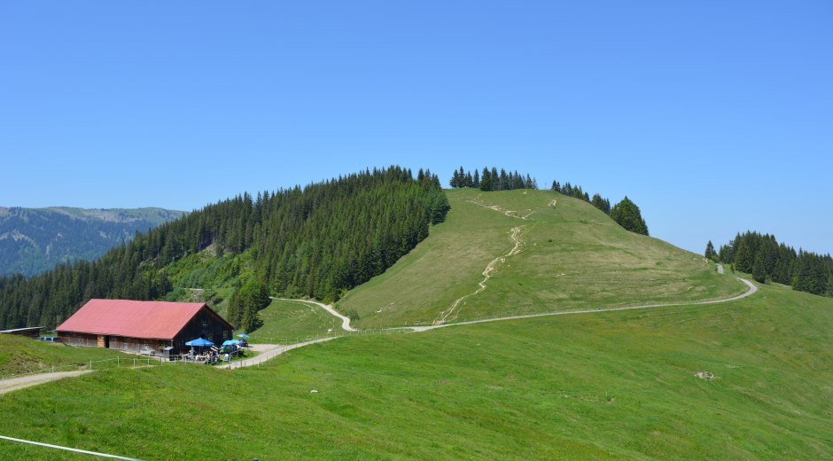 Alpe Fahnengehren mit Blick auf das Ofterschwanger Horn in den Allgäuer Hörnerdörfern © Tourismus Hörnerdörfer, MA