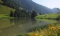 Radtour ab Balderschwang: Lecknertal - Scheidewang - Höllritzer Alpe © Tourismus Hörnerdörfer, W. Fritz
